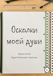 Андрей Кравченко - Осколки моей души