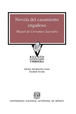 Miguel de Cervantes Saavedra Novela del casamiento engañoso обложка книги