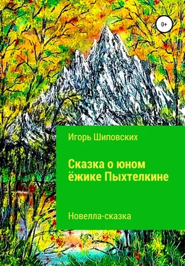 Игорь Шиповских Сказка о юном ёжике Пыхтелкине обложка книги