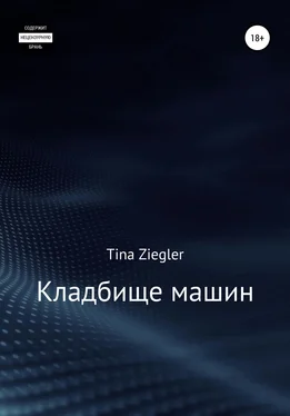 Tina Ziegler Кладбище машин обложка книги