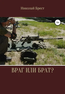 Николай Брест Враг или брат? обложка книги
