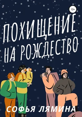 Софья Лямина Похищение на рождество обложка книги