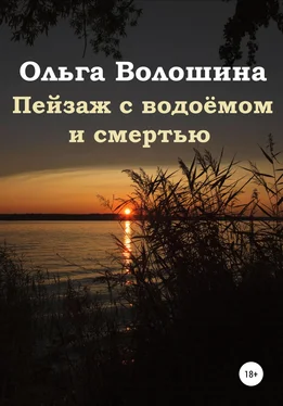 Ольга Волошина Пейзаж с водоёмом и смертью обложка книги