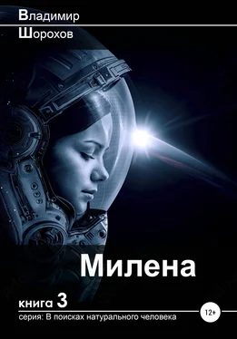 Владимир Шорохов Милена обложка книги