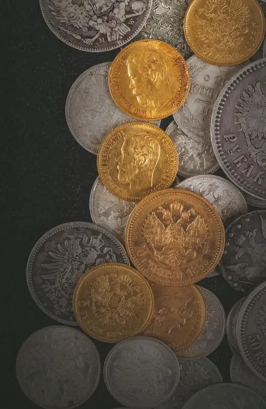 Введение В последние годы коллекционирование монет переживает очередной - фото 1