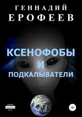 Геннадий Ерофеев Ксенофобы и подкалыватели обложка книги