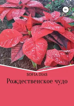 Sofia Dias Рождественское Чудо обложка книги