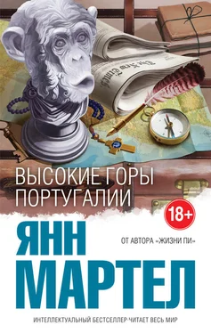 Янн Мартел Высокие Горы Португалии обложка книги