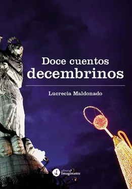 Lucrecia Maldonado Doce cuentos decembrinos обложка книги