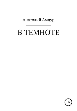 Анатолий Амдур В темноте обложка книги