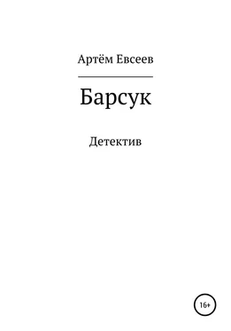 Артём Евсеев Барсук обложка книги