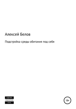 Алексей Белов Подстройка среды обитания под себя обложка книги