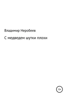 Владимир Неробеев С медведем шутки плохи обложка книги