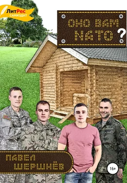 Павел Шершнёв Оно вам NATO? обложка книги