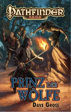 Dave Gross Prinz der Wölfe обложка книги