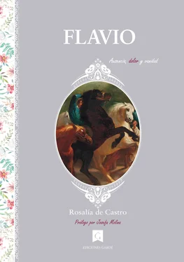 Rosalía de Castro Flavio обложка книги