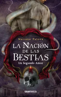 Mariana Palova Un segundo amor обложка книги