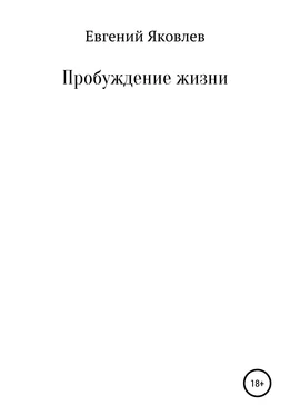 Евгений Яковлев Пробуждение жизни обложка книги