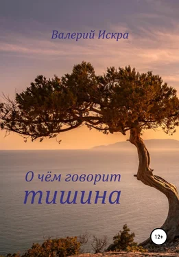 Валерий Искра О чём говорит тишина обложка книги