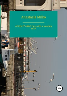 Anastasia Milko A little Turkish boy with a wooden stick обложка книги