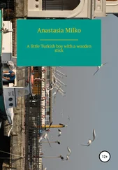 Anastasia Milko - A little Turkish boy with a wooden stick