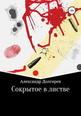 Александр Долгирев Сокрытое в листве обложка книги