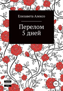 Елизавета Алексо Перелом 5 дней обложка книги
