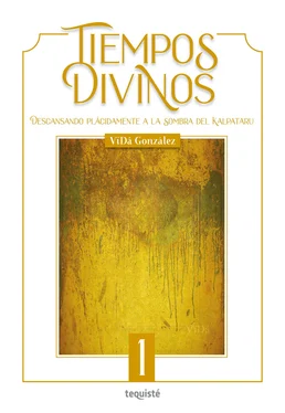 VïDâ González Tiempos Divinos обложка книги