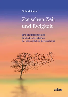 Richard Stiegler Zwischen Zeit und Ewigkeit обложка книги