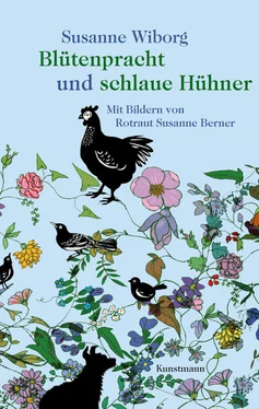 Susanne Wiborg Blütenpracht und schlaue Hühner обложка книги