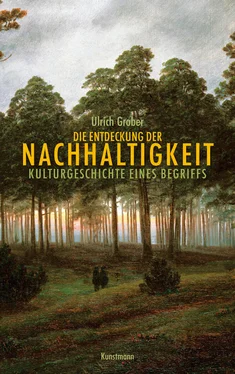 Ulrich Grober Die Entdeckung der Nachhaltigkeit обложка книги