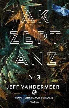 Jeff VanderMeer Akzeptanz обложка книги