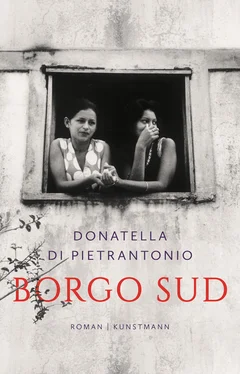 Donatella Di Pietrantonio Borgo Sud обложка книги