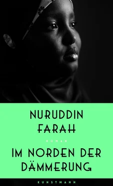 Nuruddin Farah Im Norden der Dämmerung обложка книги