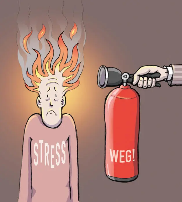 INHALT UNSERE GESCHICHTEN VOM STRESS EINLEITUNG 1 WAS IST STRESS Anzeichen - фото 3