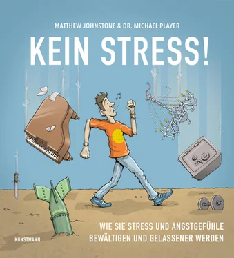 Matthew Johnstone Kein Stress! обложка книги