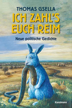 Thomas Gsella Ich zahl's euch reim обложка книги