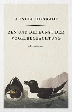 Arnulf Conradi Zen und die Kunst der Vogelbeobachtung обложка книги