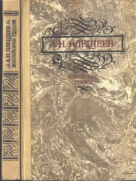 Алексей Плещеев Житейские сцены обложка книги