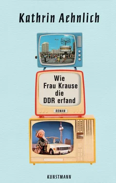Kathrin Aehnlich Wie Frau Krause die DDR erfand обложка книги