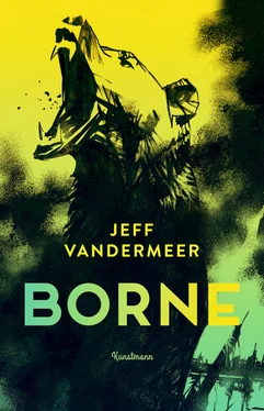 Jeff VanderMeer Borne обложка книги