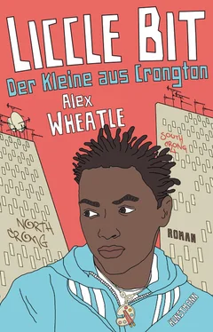 Alex Wheatle Liccle Bit. Der Kleine aus Crongton обложка книги