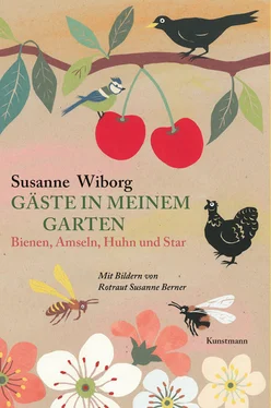 Susanne Wiborg Gäste in meinem Garten обложка книги