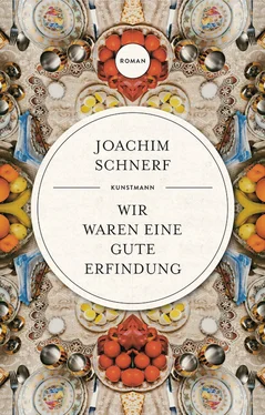 Joachim Schnerf Wir waren eine gute Erfindung обложка книги