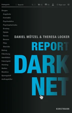 Theresa Locker Report Darknet обложка книги
