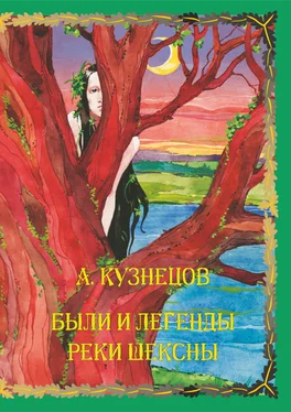 Александр Кузнецов Были и легенды реки Шексны обложка книги