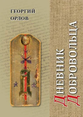 Георгий Орлов Дневник добровольца. Хроника гражданской войны. 1918–1921 обложка книги