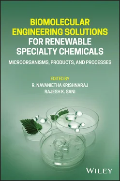 Неизвестный Автор Biomolecular Engineering Solutions for Renewable Specialty Chemicals обложка книги