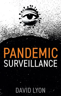 David Lyon Pandemic Surveillance обложка книги