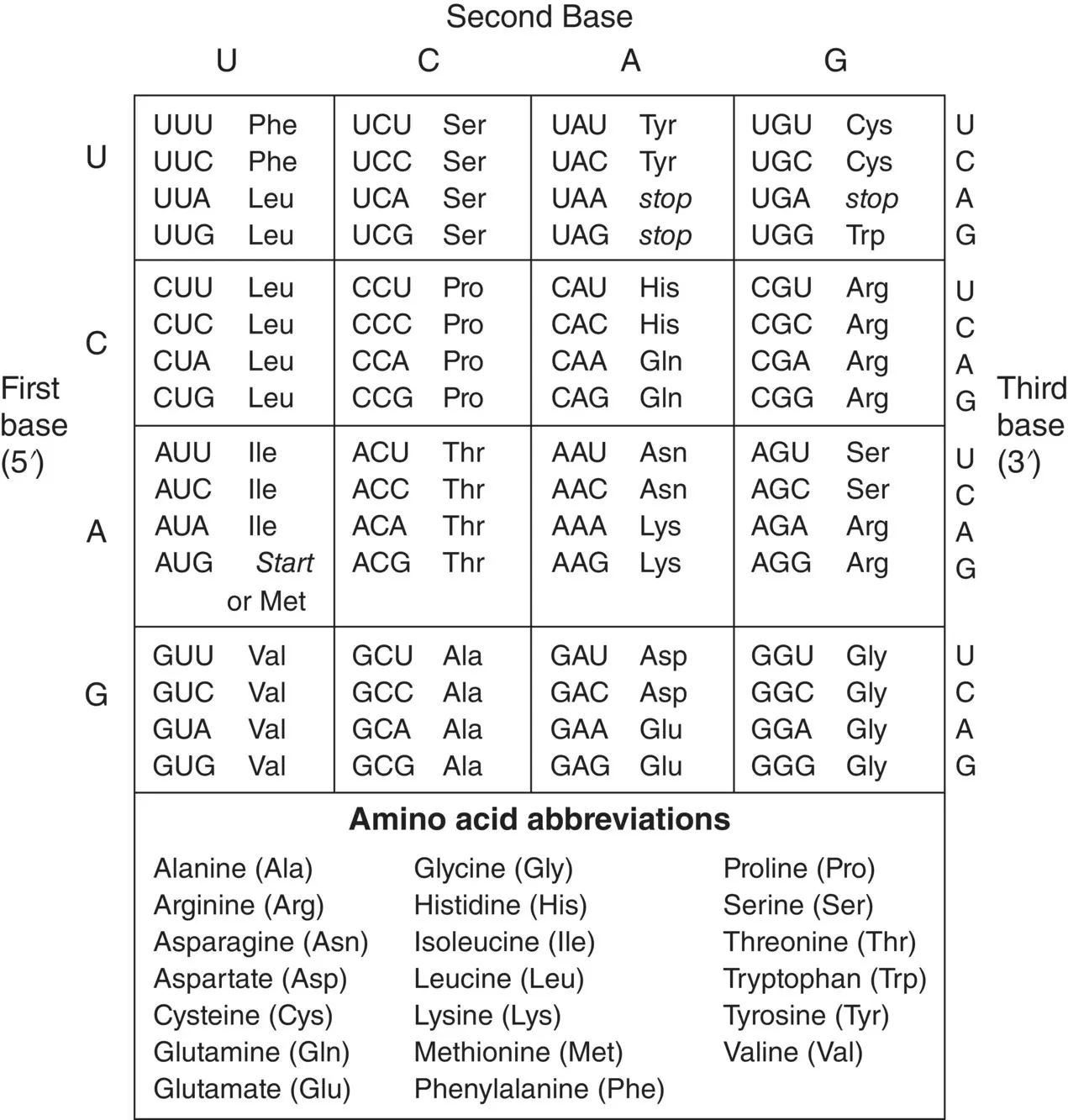 Figure 24 The genetic code and abbreviations for amino acids Genes and - фото 8